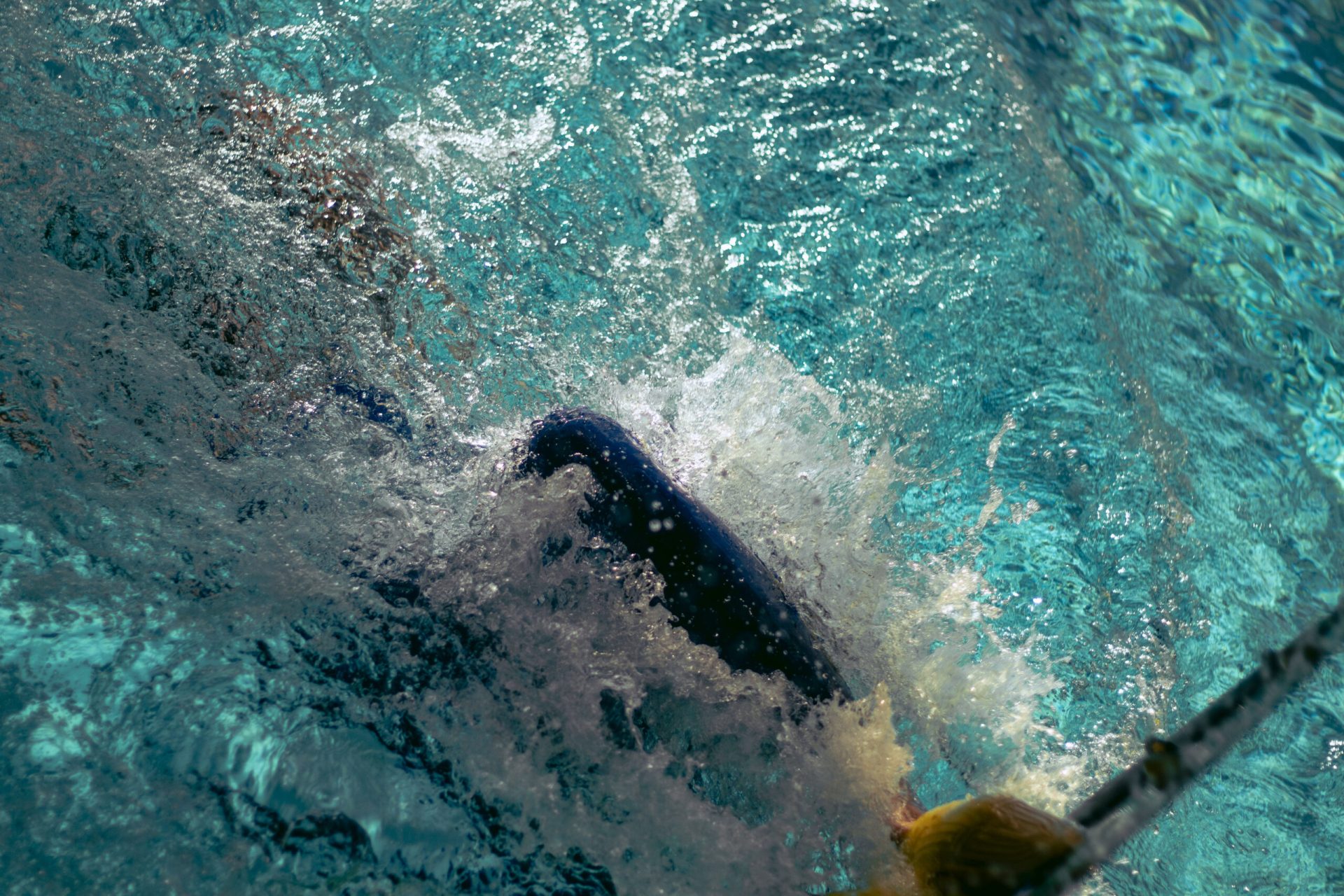 Nevera Finswimming Cup 2024-10